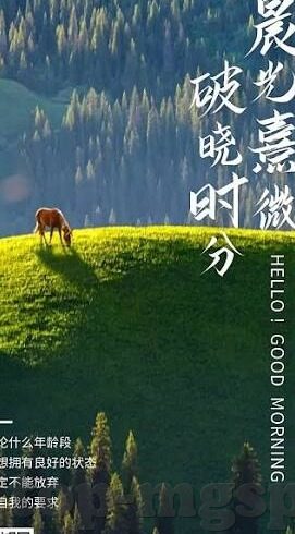 足球比分雪-足球比分雪，绿茵场上的白色风暴与命运交响